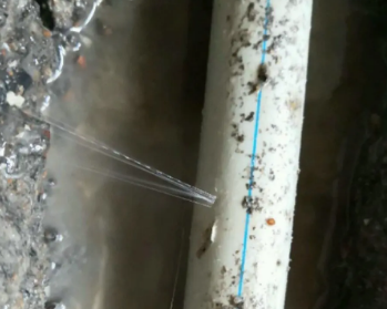 东丰卫生间测漏水多少钱